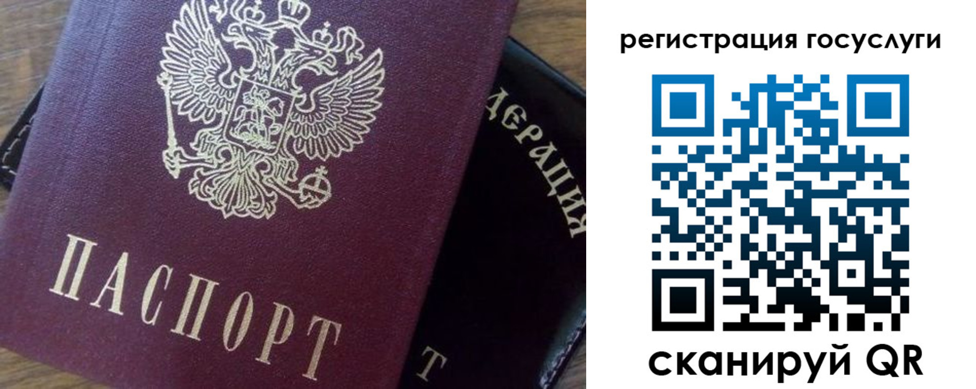 миграционный учет в Зеленоградске